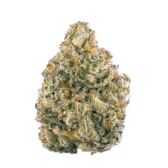 AK-47 Hybrid (PREMIUM)