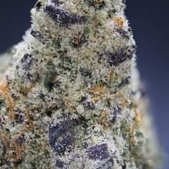 FROZEN CHERRY SLURPEE (DESIGNER)