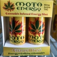 Mota Energy