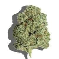 Presidential OG (Top-Shelf)