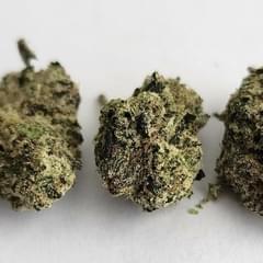 Astro Lato - Exotic Smalls