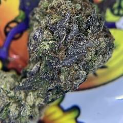 TOPSHELF. SUNDAY BRUNCH