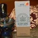 Bloom Farms Highlighter Anytime hybrid Pen Set