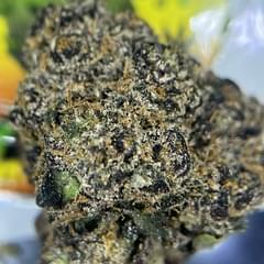 EXOTIC - BLACK RUNTZ