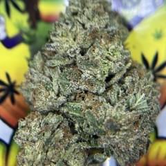 TOPSHELF- CANDYLAND