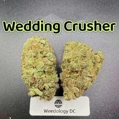 Wedding Crusher