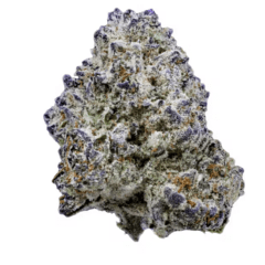 Slurricane (AAA Designer)