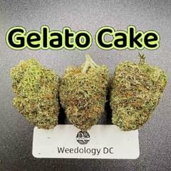 Gelato Cake---Top Shelf
