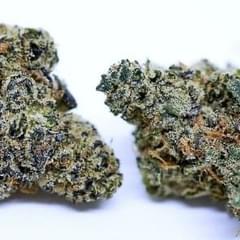 Purple Pineapple(exotic)