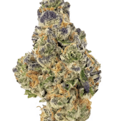 Purple Sunset (Indoor Premium)