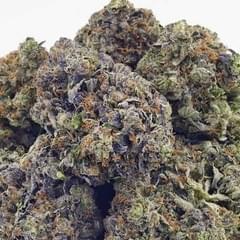 Granddaddy Purple (Exotic)