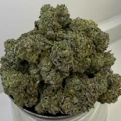 The Prez | Blueprint