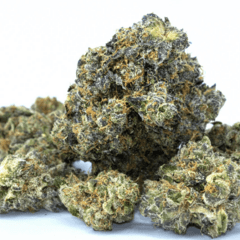 Purple Punch (Premium)