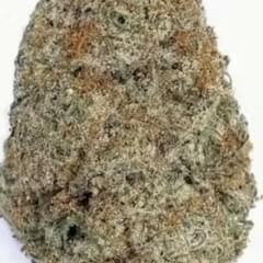 CRANBERRY ZKITTLES (DESIGNER)