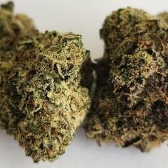 Cherry Cake - Exotic