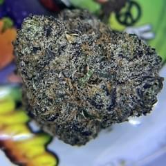 DESIGNER- GUCCI PINK