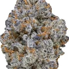 BLUE COOKIES (EXOTIC)