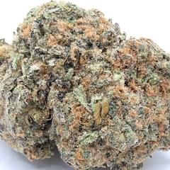 BLIZZFUL WIZARD (TOPSHELF)