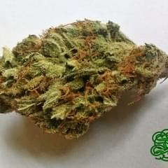 Jack the Ripper (Top-Shelf)