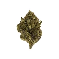 454 - Space Cabbage -