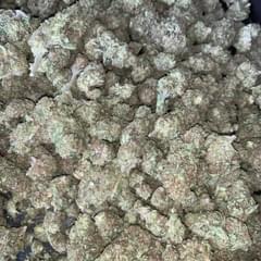 PEANUT BUTTER BREATH