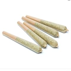 EXOTIC  prerolls