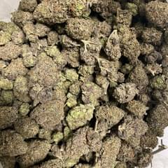 JET Fuel Gelato(EXOTIC)