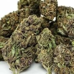 Purple OG (Hi-Life Specials)