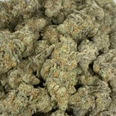 SPACE LOLLIPOPS (TOPSHELF)