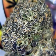 EXOTIC- GALACTIC RUNTZ