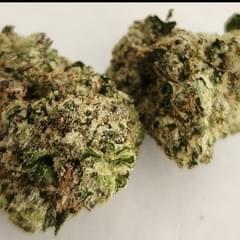 Sherbadelic - Exotic