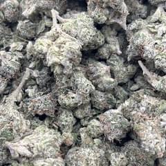 Octane Mintz (Greenhouse)