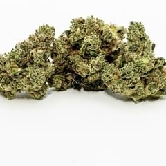 Chemdog Sativa (PREMIUM)
