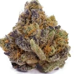 Pineapple Express (exotic)