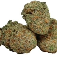 Durban Poison (exotic)