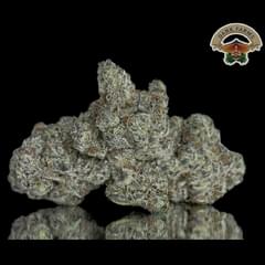 Gorilla glue (DESIGNER)