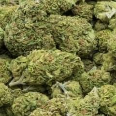 Ghost Train Haze (A+)