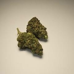 Katsu Bubba Kush (PREMIUM)