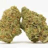 *Pineapple Mimosa (S)