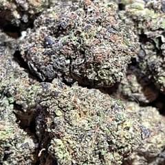 WATERMELON RUNTZ  (TOPSHELF)