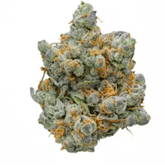 The original Z Exotic