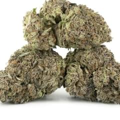 Fruit Punch (exotic)