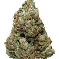 Green Crack Sativa (Top-Shelf)