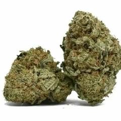 Girl Scout Cookies (AAA)