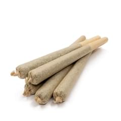 Exotic House Prerolls