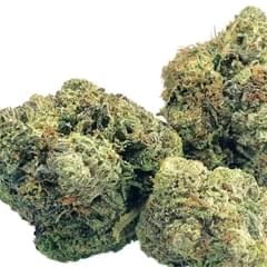 LEMON BERRY  (TOPSHELF)