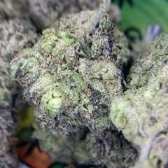 RESERVE- SUPREME GELATO