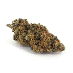 Lemon Shiv (TOP SHELF)