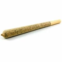 Exotic house Prerolls
