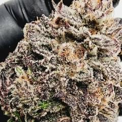 LEMON BUBBLEGUM (DESIGNER)